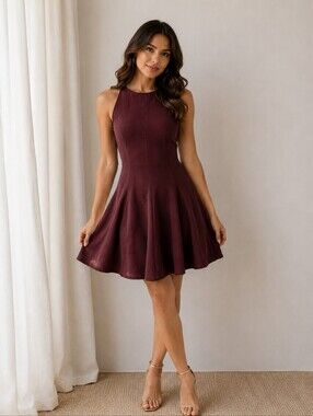 Zara Sleeveless Brown Fit-and-Flare Mini Dress XS